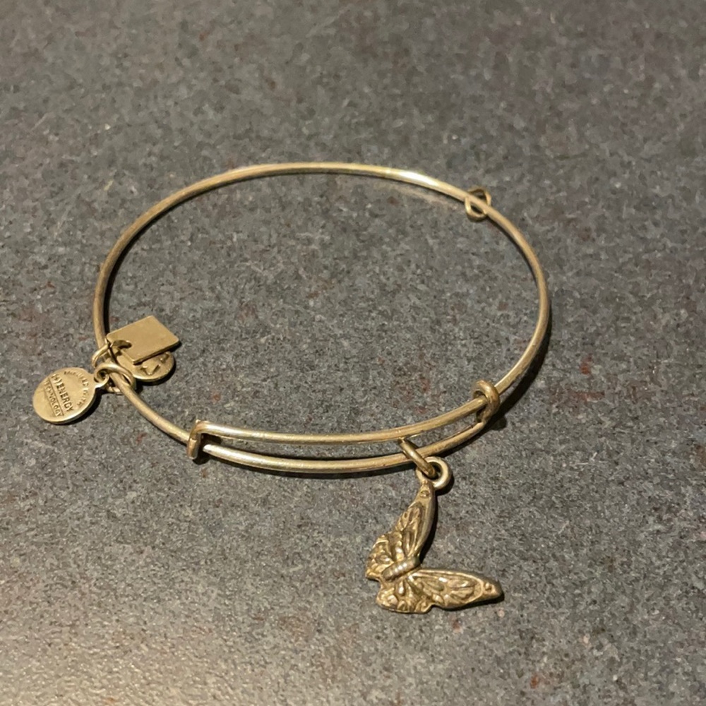 Alex and Ani Bracelet in Silver - Butterfly
